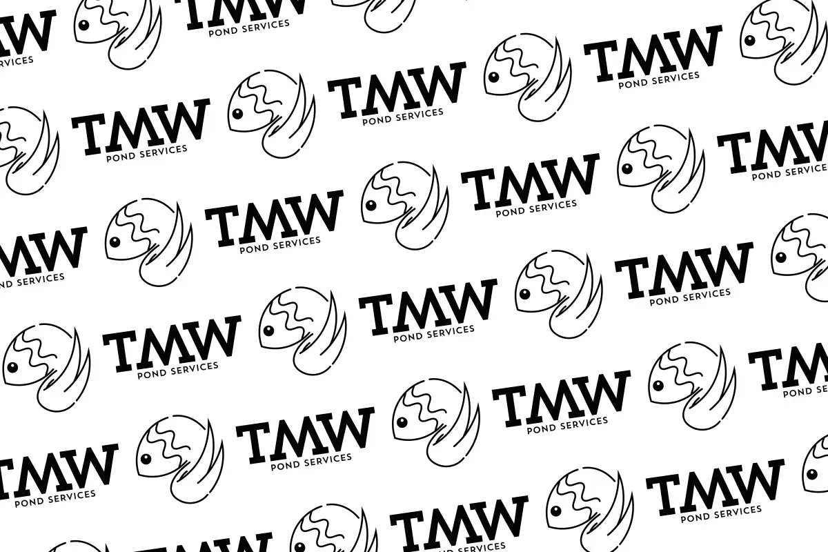 TMW Pattern
